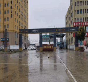 合肥水家湖机动车检测有限公司 <br/>（大雷汽车检测水家湖服务中心）