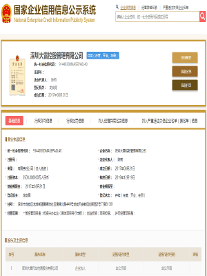 深圳大雷控股管理有限公司 <br/>（检测站连锁运营中心）